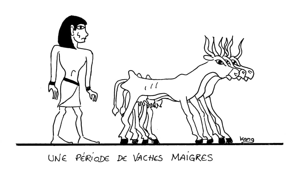 Vaches maigres - dessin de Kang