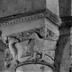 Saint-Hilaire-la-Croix, église, chapiteau : oiseau buvant à la coupe, photo Craplet